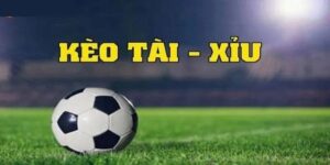 Các yếu tố ảnh hưởng đến kết quả soi kèo tài xỉu