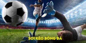Phân tích tỷ lệ cá cược trong soi kèo châu Á