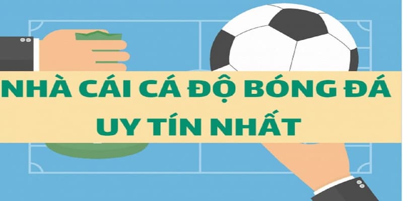 Dự đoán bóng đá Vai trò của dự đoán bóng đá
